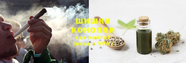 ГАЛЛЮЦИНОГЕННЫЕ ГРИБЫ Алзамай