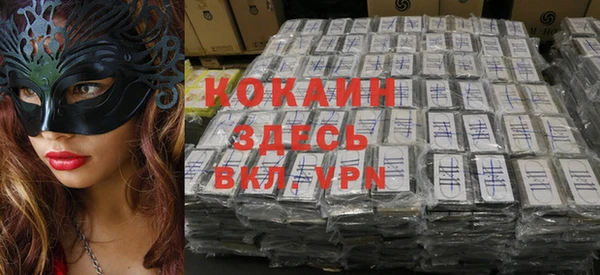 соль ск Алексеевка