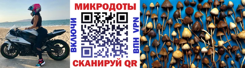 Псилоцибиновые грибы GOLDEN TEACHER это Telegram Харовск
